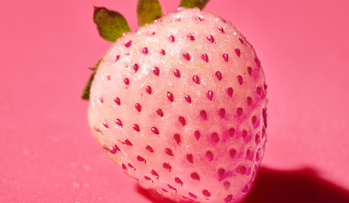 strawberry image 2